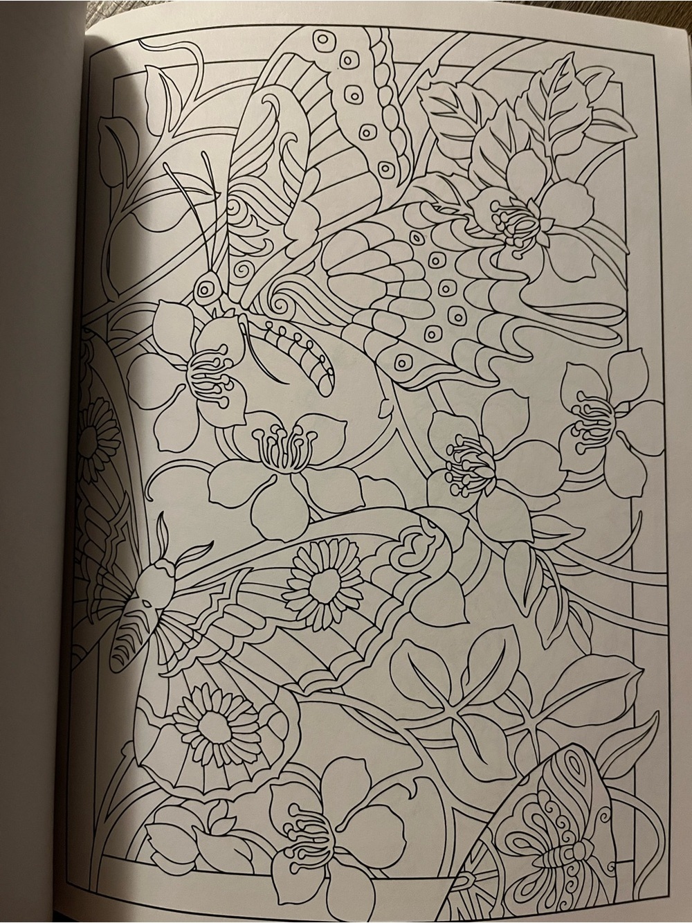 Incredible Insect Designs Coloring Book - Purple & Multicolor - Picture 5 of 10